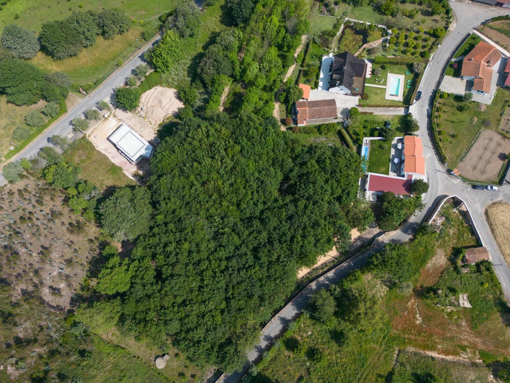 AlquerubimCasa Do Carvalhal - Quinta Do Soldado别墅 外观 照片